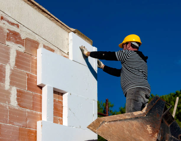 Best Insulation Replacement Services  in North El Monte, CA