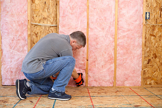 Best Insulation Inspection Services  in North El Monte, CA